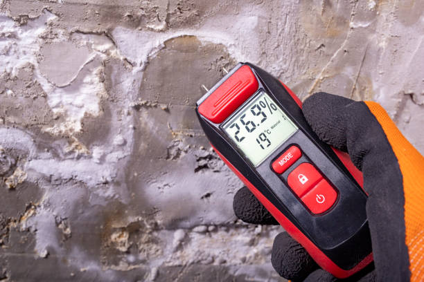 Best Residential Mold Removal  in Marion, TX